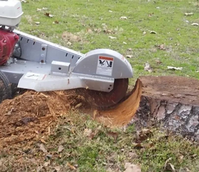 Guardian Tree Experts - Napa, CA