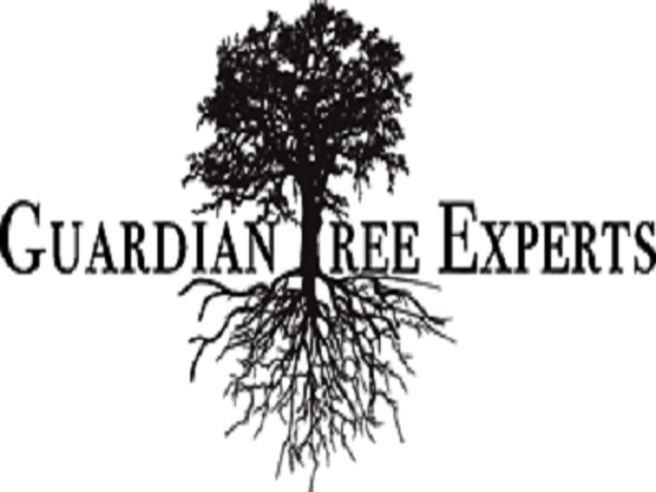 Guardian Tree Experts - Napa, CA