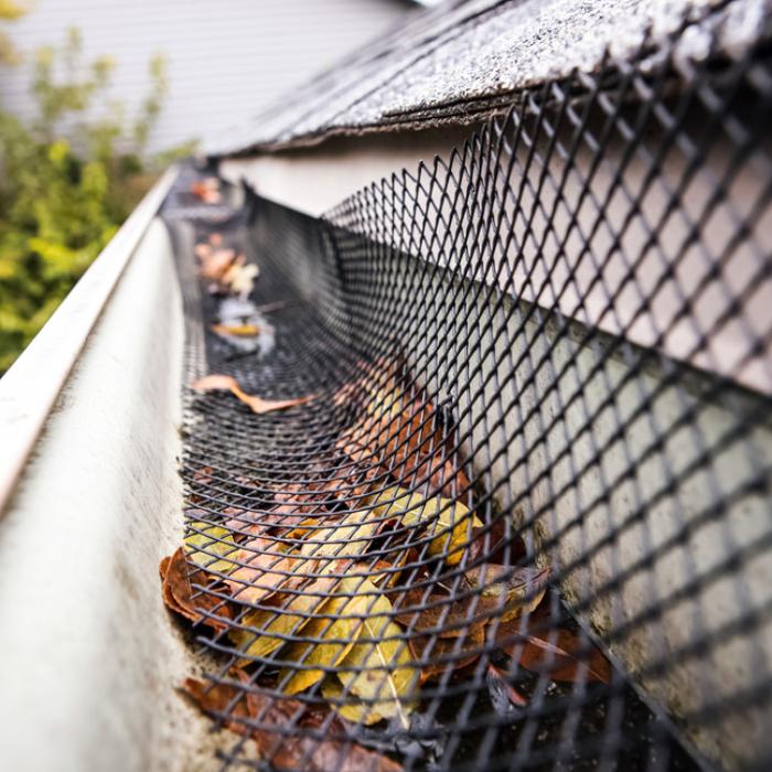 Elite Contractors Group, LLC - Bothell, WA