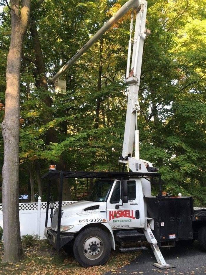 Haskell Tree Service Inc - West Falls, NY