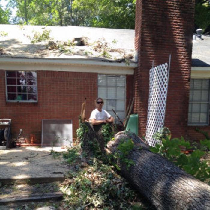 Big John's Tree Service - Brandon, MS