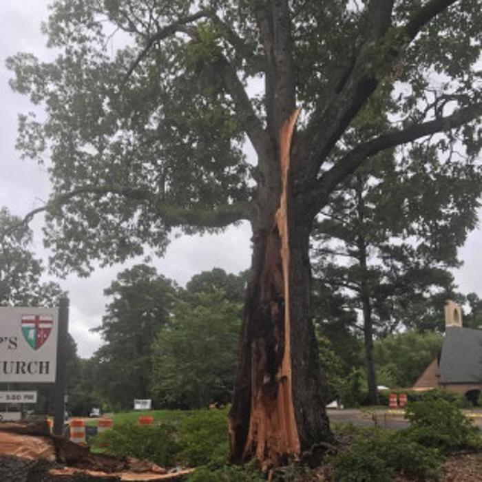 Big John's Tree Service - Brandon, MS