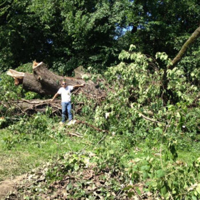 Big John's Tree Service - Brandon, MS