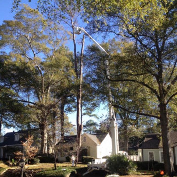 Big John's Tree Service - Brandon, MS