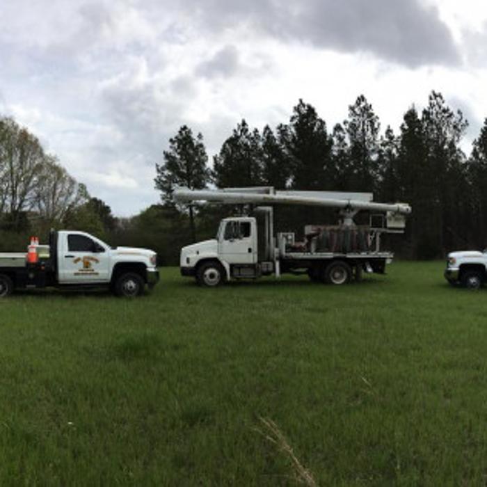 Big John's Tree Service - Brandon, MS