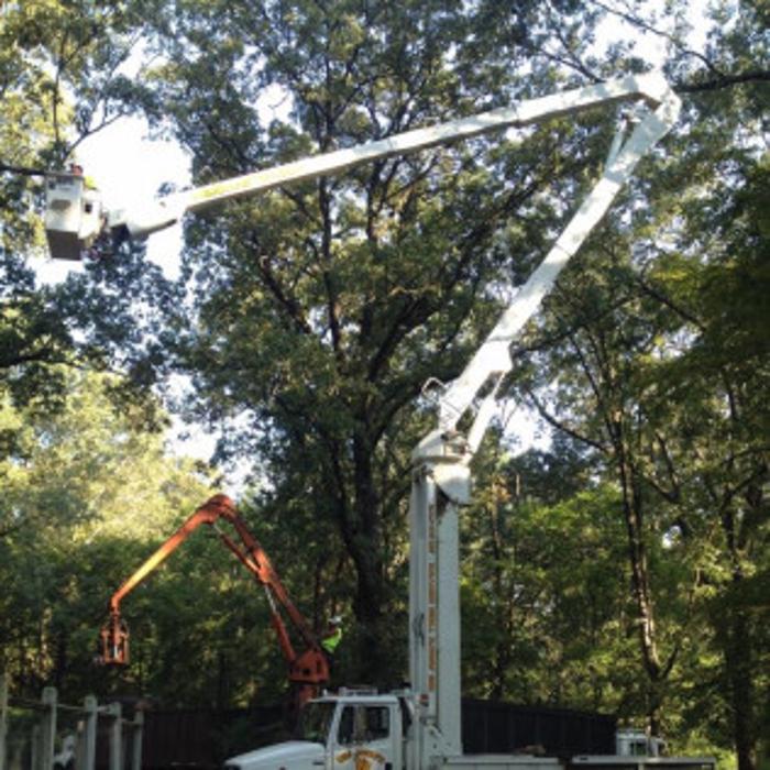 Big John's Tree Service - Brandon, MS