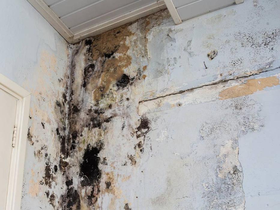 Rocky Mountain Abatement, Inc. - Littleton, CO