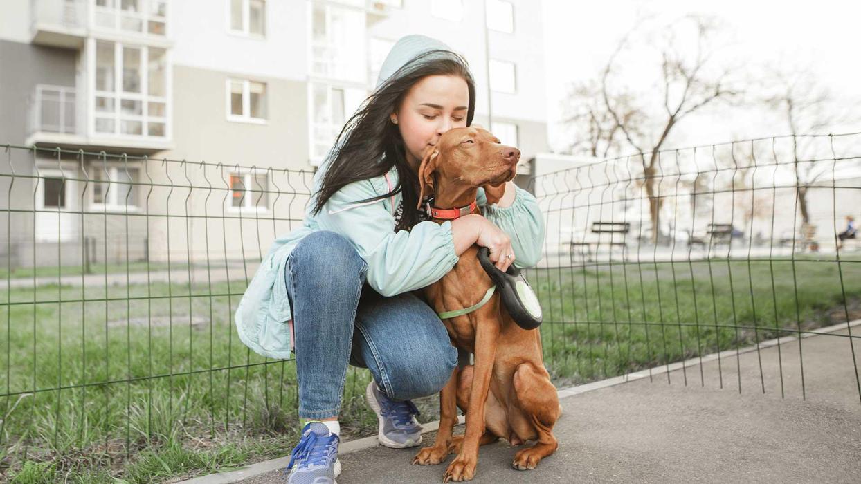 Polite Pooches Dog Training - Pine Bush, NY