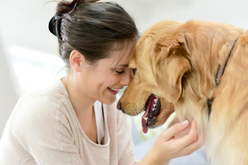 Polite Pooches Dog Training - Pine Bush, NY