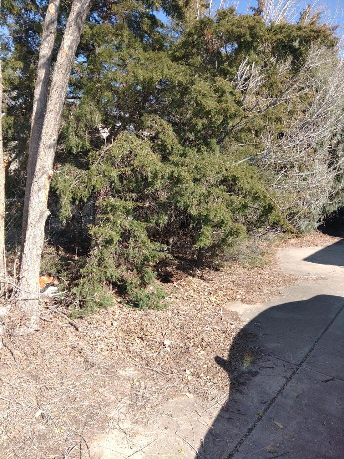 CF Natural Woods - Pueblo, CO