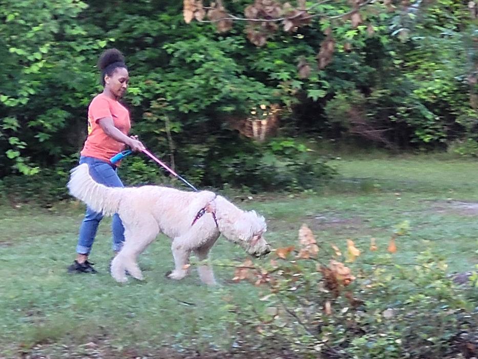 C and C K9 Kennel - Rincon, GA