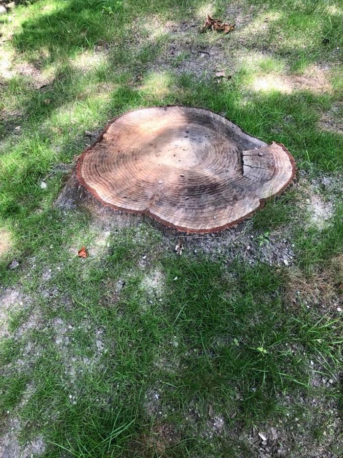 207 Landscaping Tree Service, LLC - Gorham, ME
