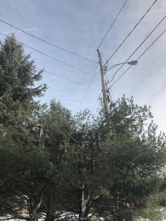 207 Landscaping Tree Service, LLC - Gorham, ME