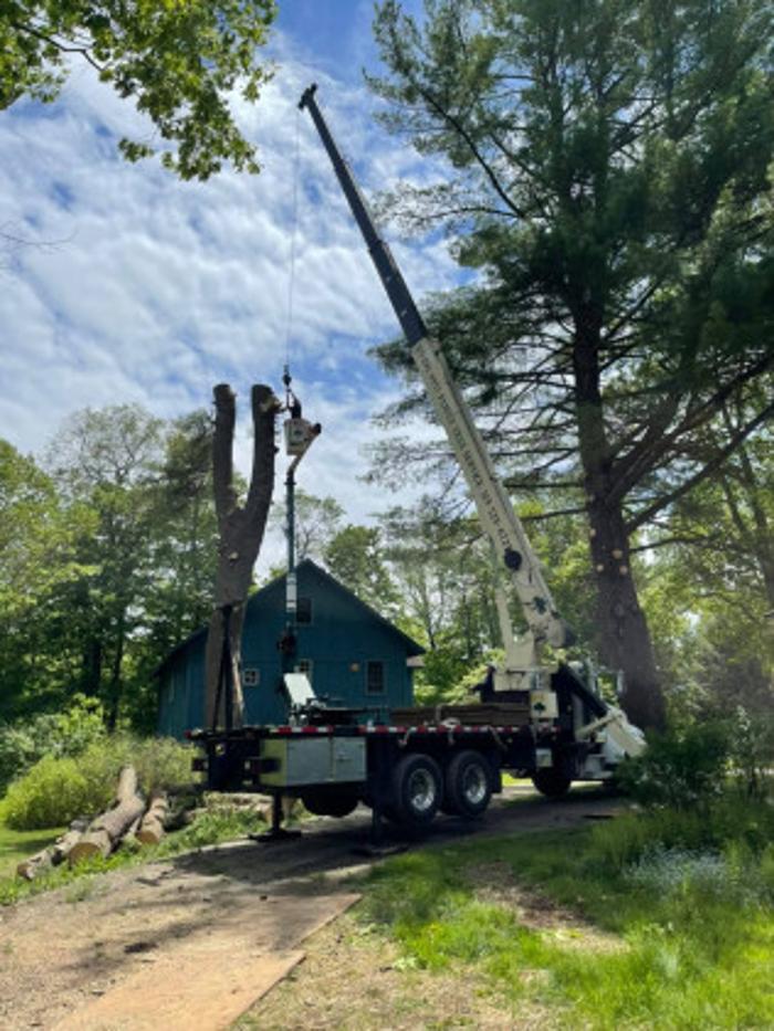Family Tree Service - Oriskany Falls, NY