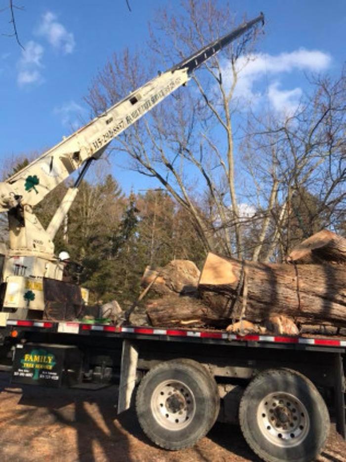 Family Tree Service - Oriskany Falls, NY