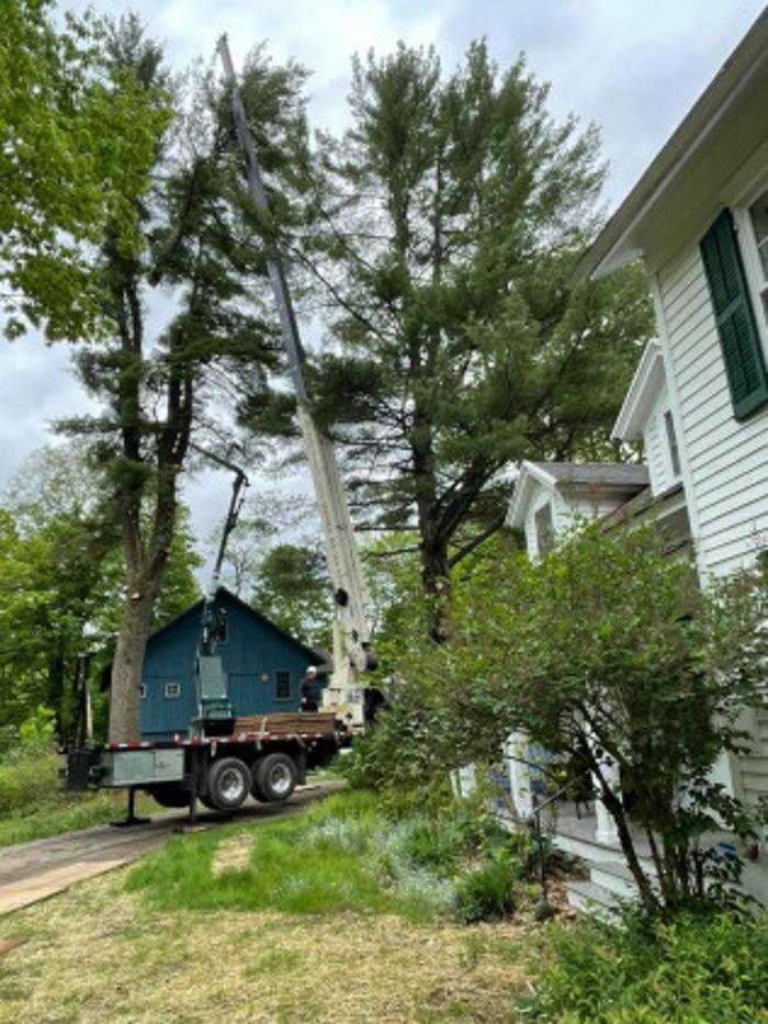 Family Tree Service - Oriskany Falls, NY