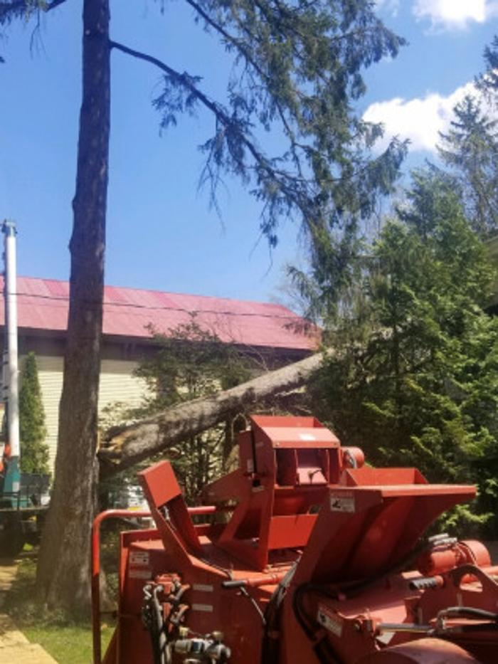 Family Tree Service - Oriskany Falls, NY