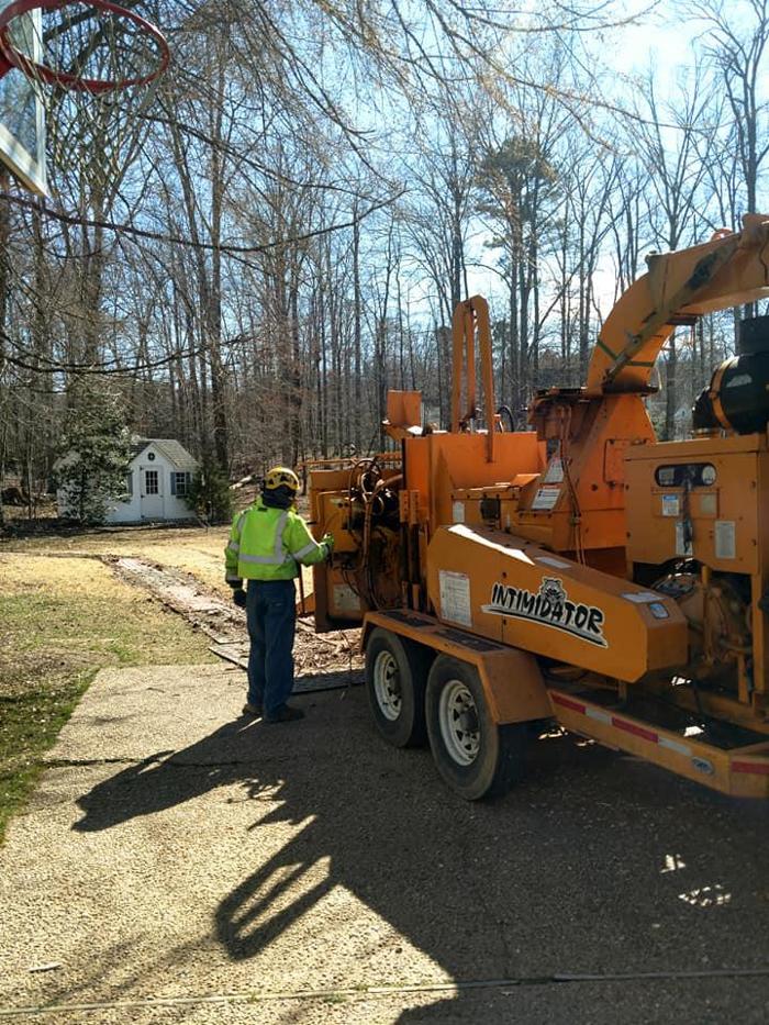 D. Vauter Tree and Stump Service, Inc. - Richmond, VA