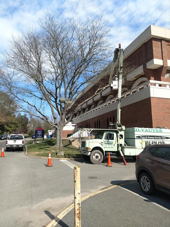 D. Vauter Tree and Stump Service, Inc. - Richmond, VA