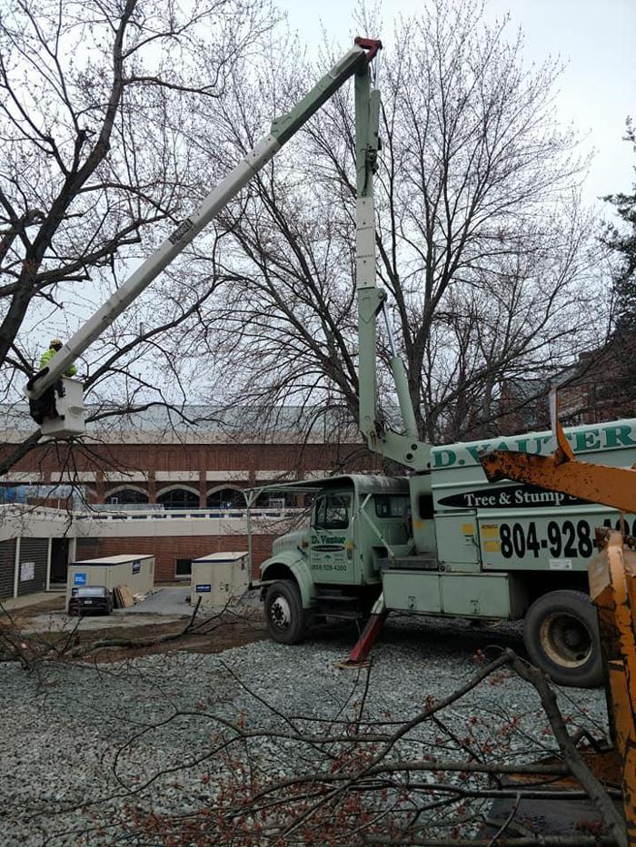 D. Vauter Tree and Stump Service, Inc. - Richmond, VA