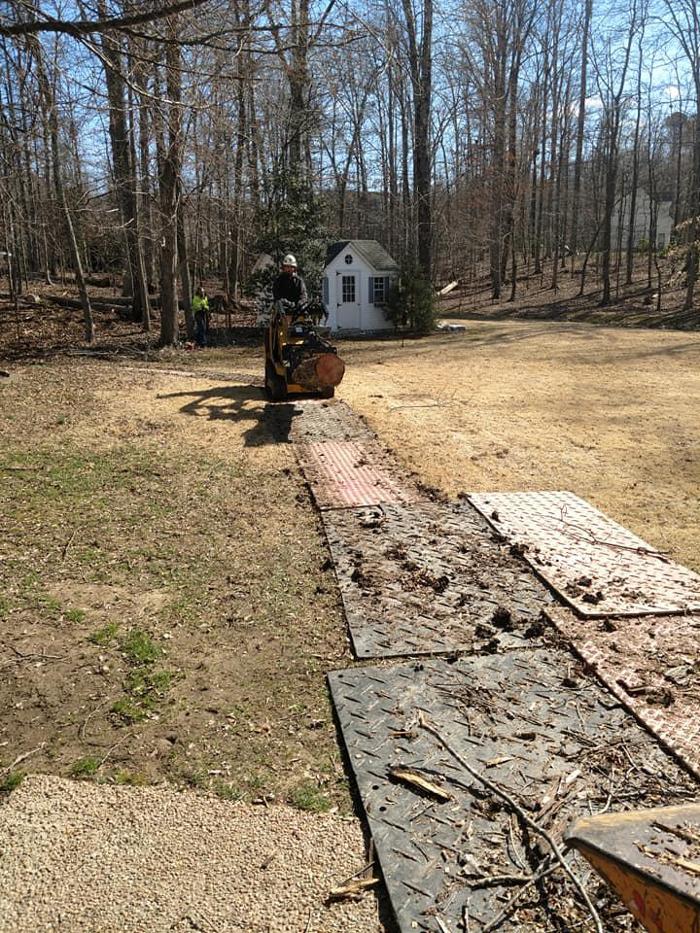 D. Vauter Tree and Stump Service, Inc. - Richmond, VA