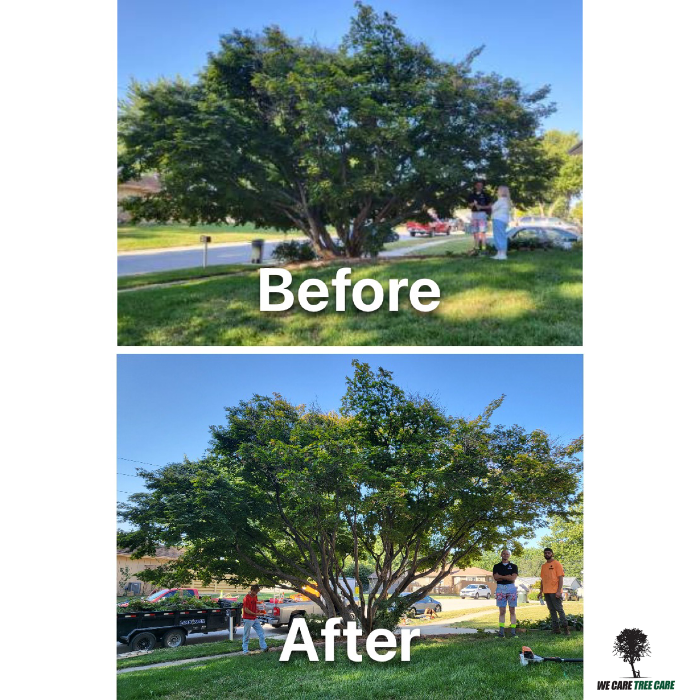 We Care Tree Care - Richmond, MO