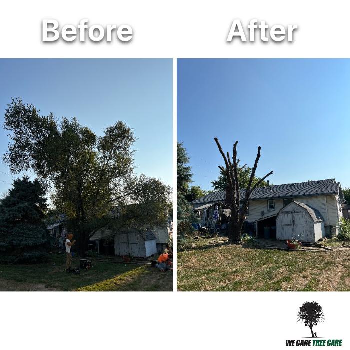 We Care Tree Care - Richmond, MO