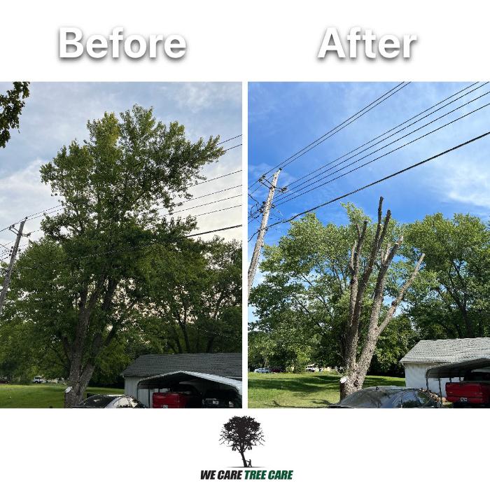 We Care Tree Care - Richmond, MO