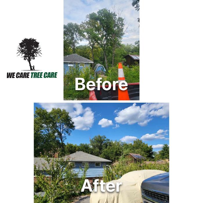 We Care Tree Care - Richmond, MO