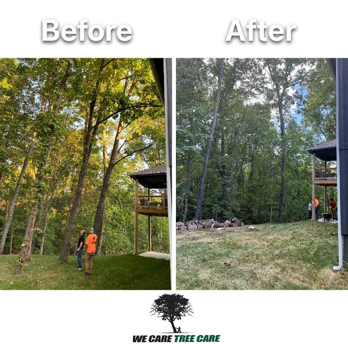We Care Tree Care - Richmond, MO