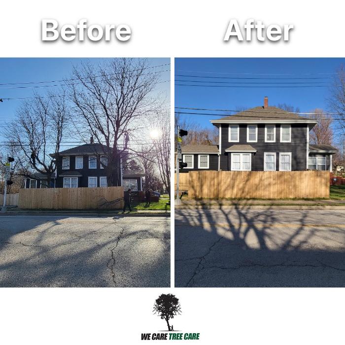 We Care Tree Care - Richmond, MO