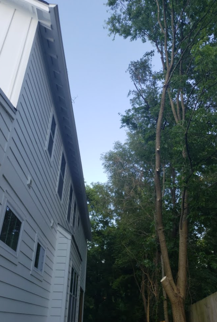 G Professional Tree Service - La Vergne, TN