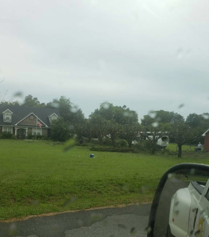 G Professional Tree Service - La Vergne, TN