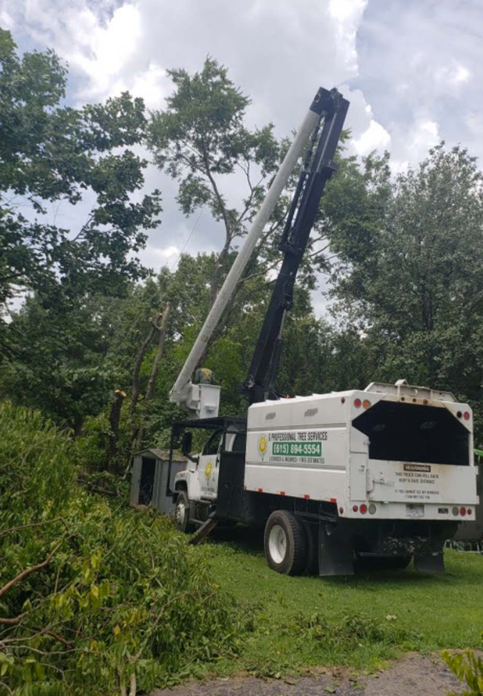 G Professional Tree Service - La Vergne, TN