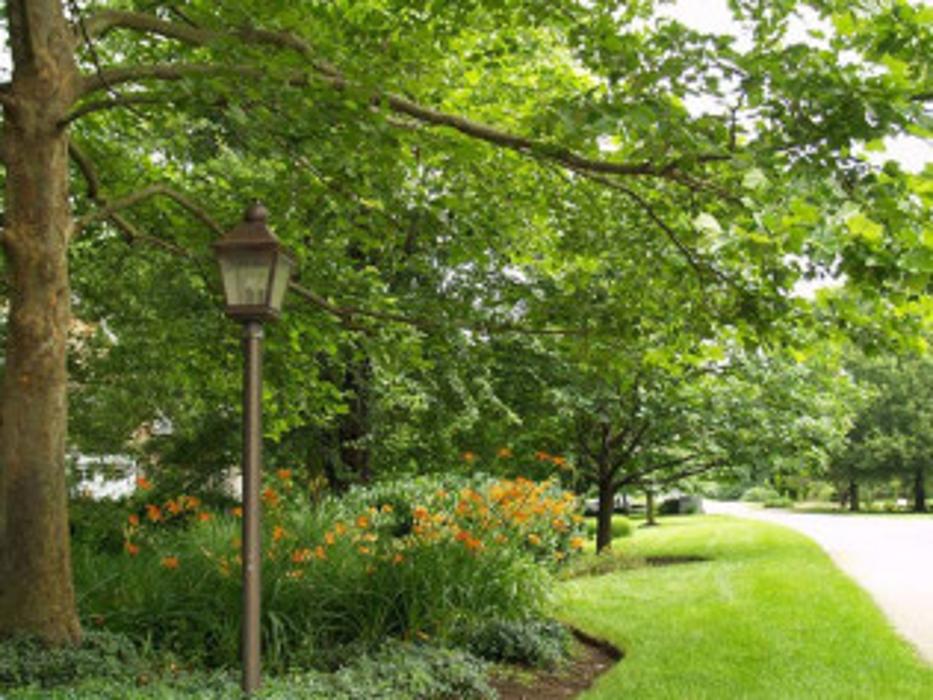 Environmental Landcare LLC - Millersville, MD