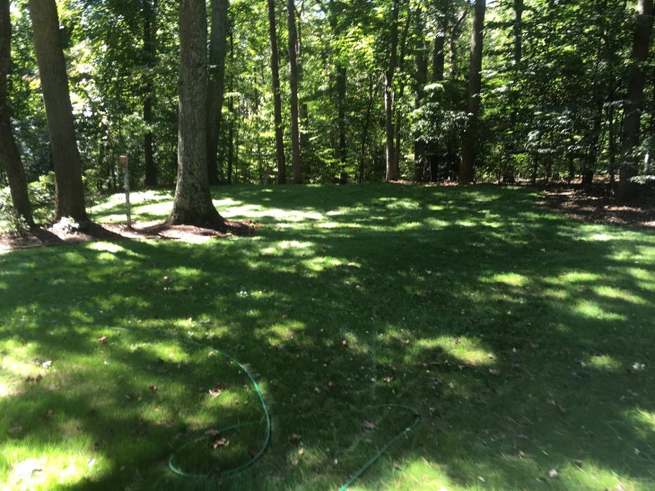 Turf Tech Services - Davidsonville, MD
