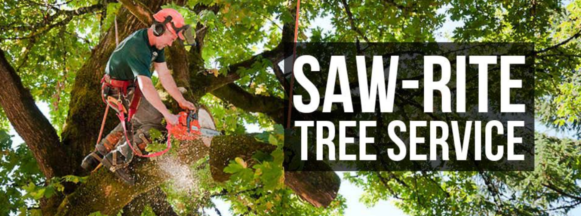 Saw-Rite Tree Service - Garden City, SC