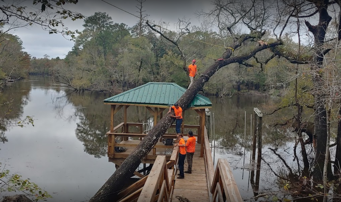 Saw-Rite Tree Service - Garden City, SC