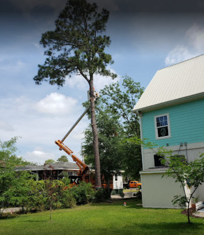 Saw-Rite Tree Service - Garden City, SC