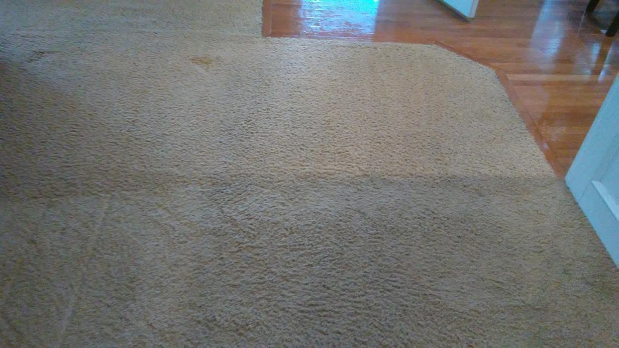 R&L Carpet Upholstery Cleaning & Restoration - Independence, MO