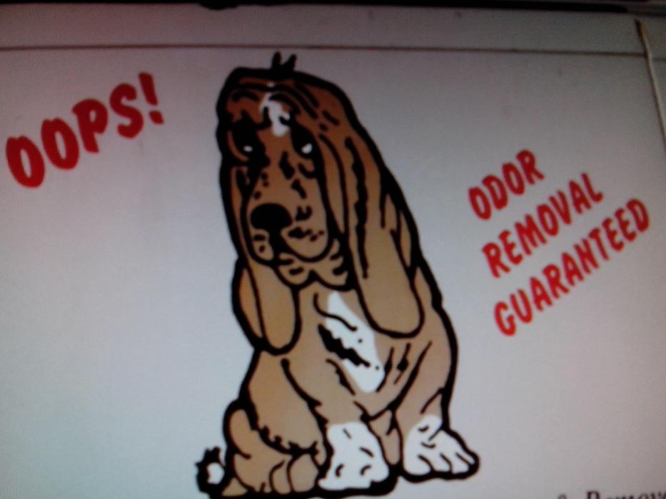 R&L Carpet Upholstery Cleaning & Restoration - Independence, MO