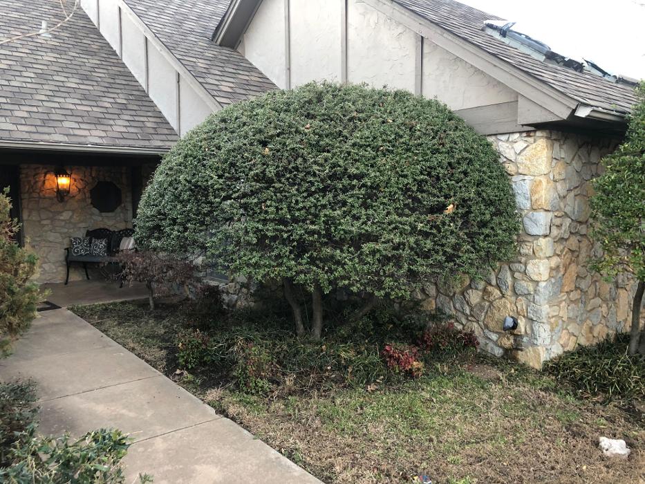 Ivy League Landscaping, LLC - Norman, OK