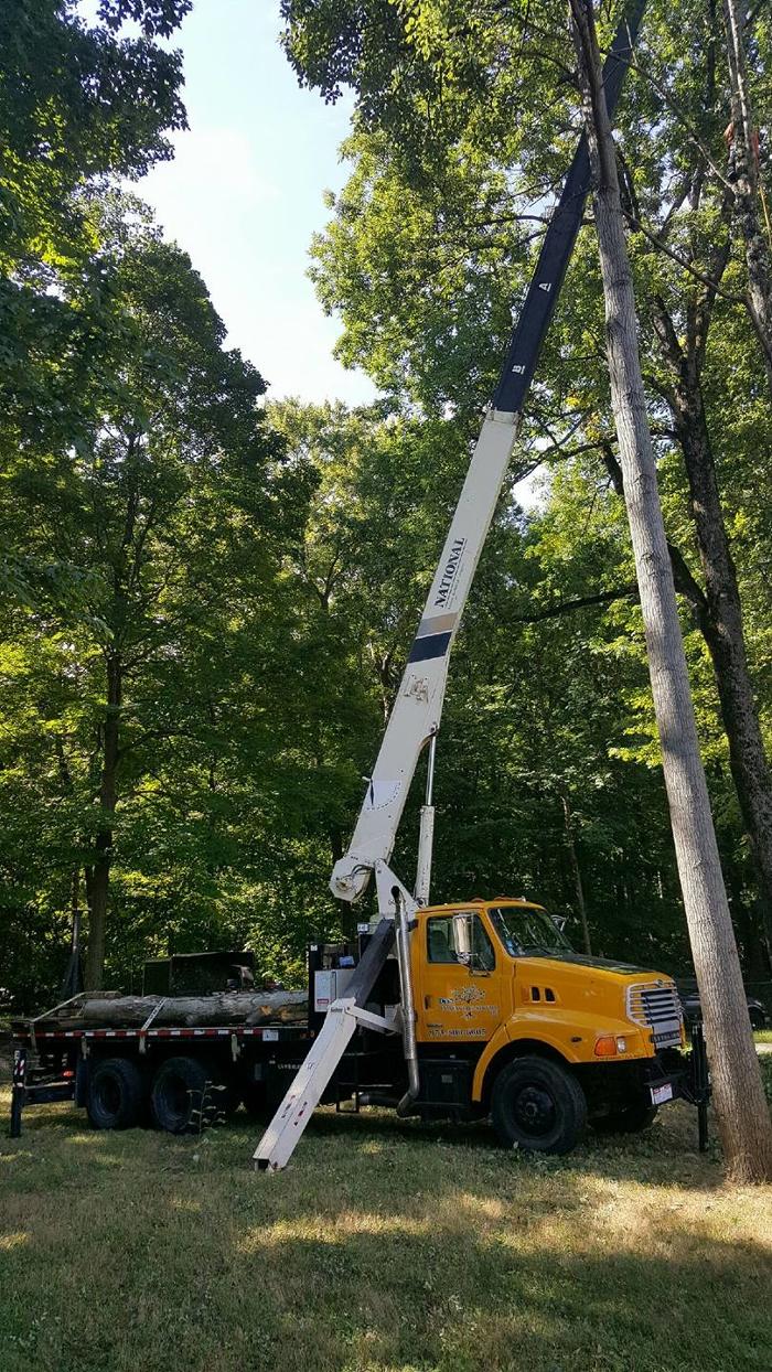 Cypress Tree Service - Andover, NJ