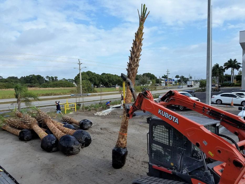 Florida Environmental LLC - Bonita Springs, FL