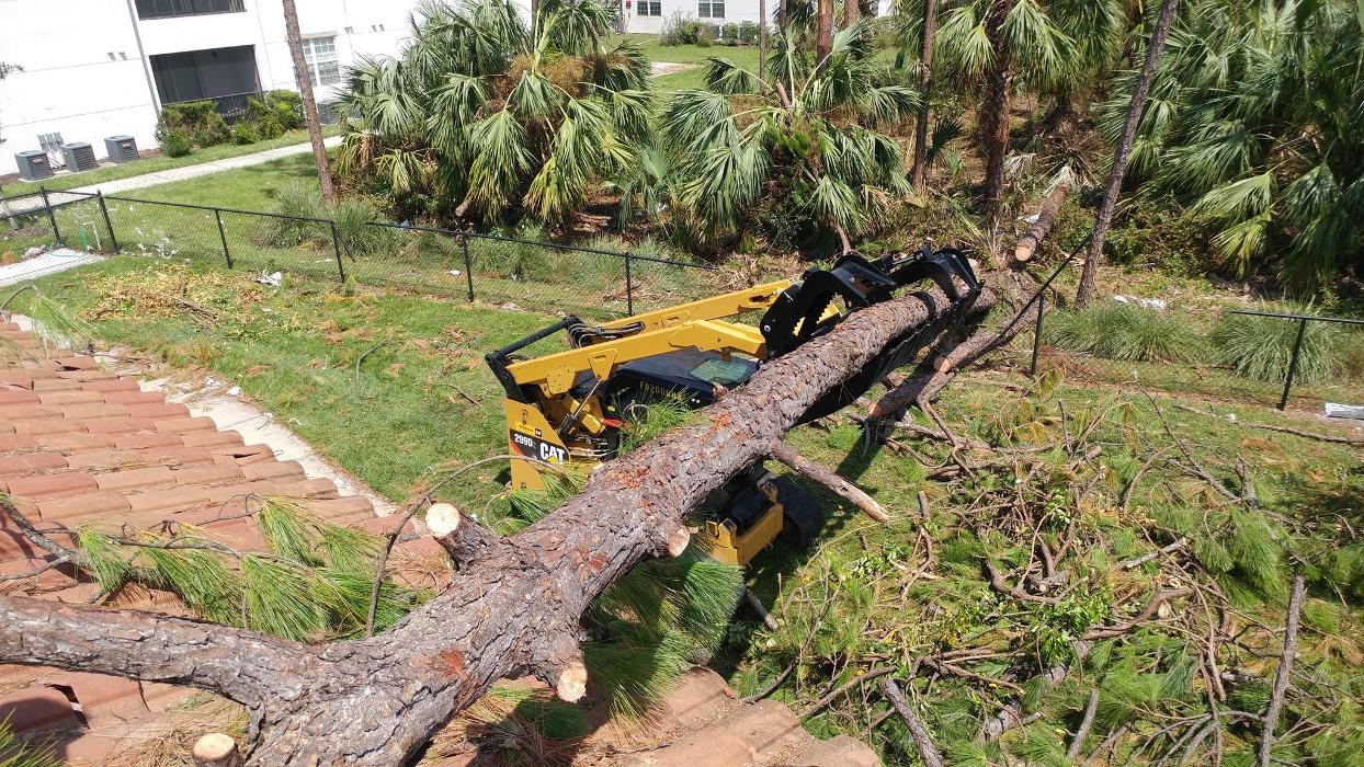 Florida Environmental LLC - Bonita Springs, FL