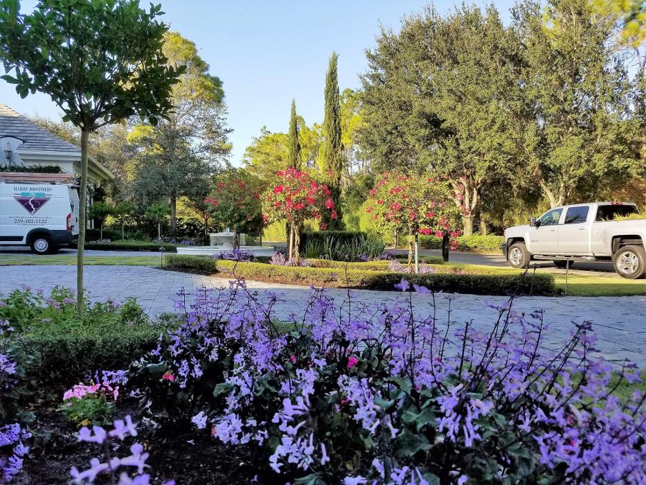 Florida Environmental LLC - Bonita Springs, FL