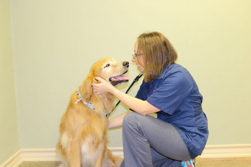 Image 6 | Care Pet Clinic Texarkana