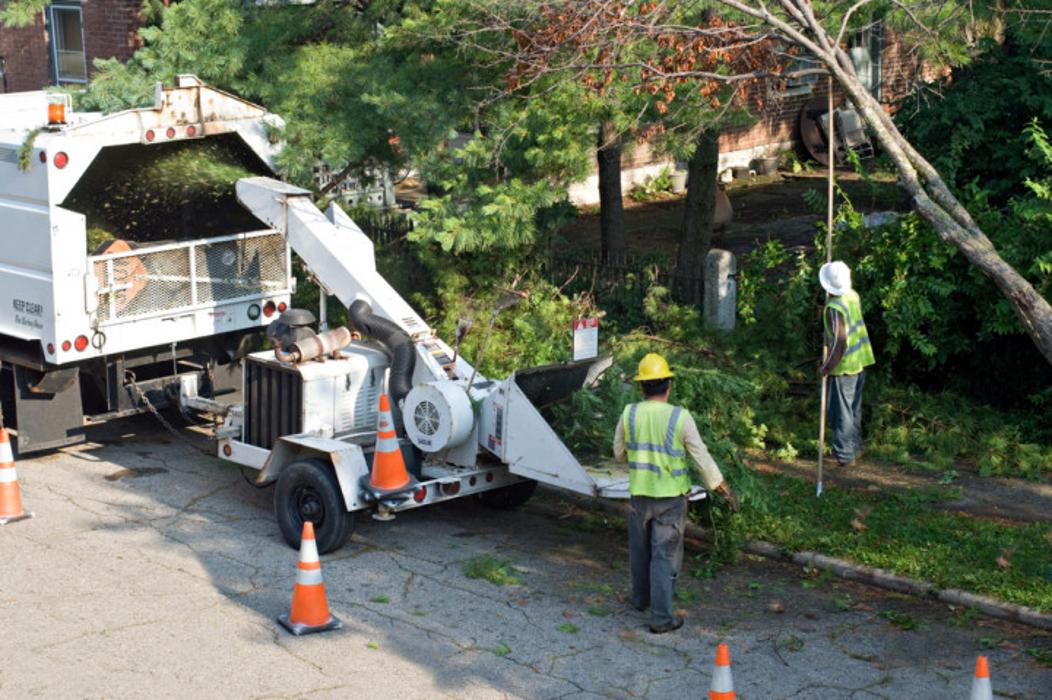 Green Giant Tree & Grading - McDonough, GA