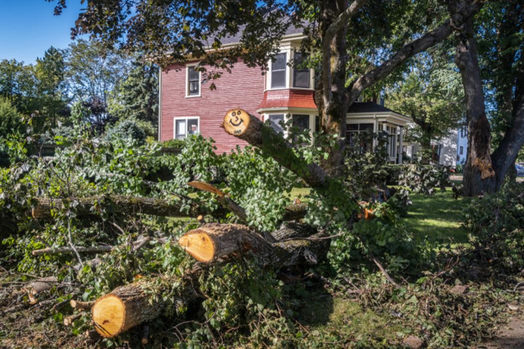 Green Giant Tree & Grading - McDonough, GA