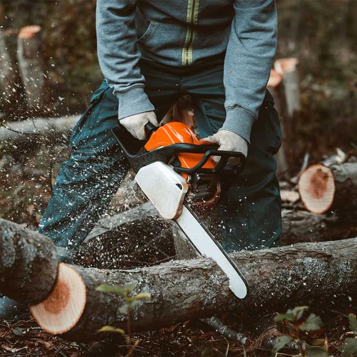 Stoltz Creations, LLC - Sharon Springs, NY